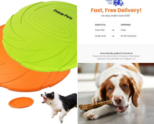 What you need for your furry friend 🐱‍🐉🐱‍🐉😼😺🦒🐰 cover photo collage