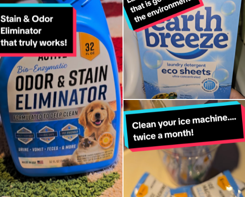 Cleaning Helpers (even if you hate to clean!) cover photo collage