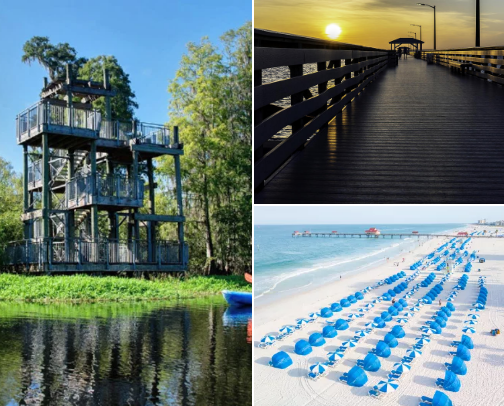 Things to Do In The Tampa Bay Area cover photo collage