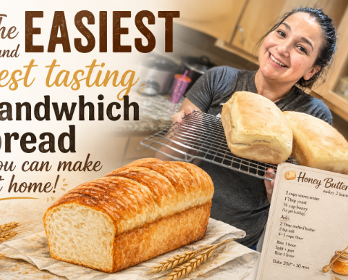 The EASIEST and best tasting sandwhich bread you can make at home! cover photo collage