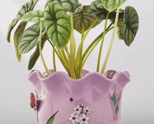 Outdoors cover photo collage