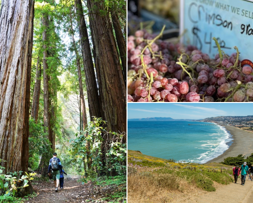 Things To Do in the Bay Area cover photo collage