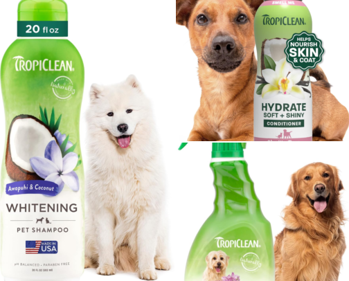 Products I use with my dog ​​Luna cover photo collage