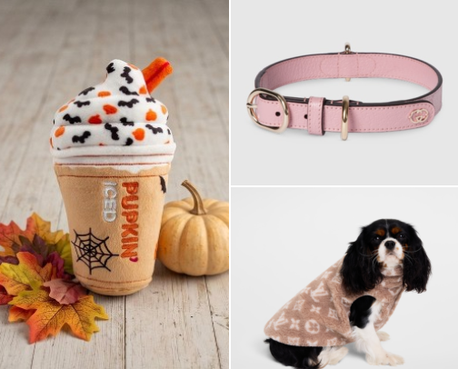 Bougie Dog Finds cover photo collage