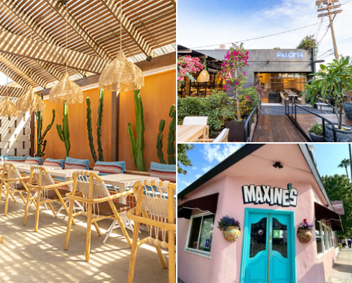 🍸🥗 Bites & Sips: LA Edition cover photo collage
