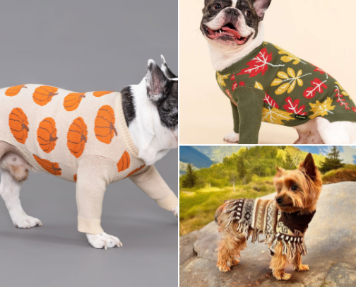 Thanksgiving Fall Dog Sweaters • 2025 🍂🐾🦃 cover photo collage