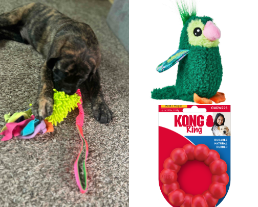 🎉 Giant Breed Puppy Toys That Actually Survive cover photo collage