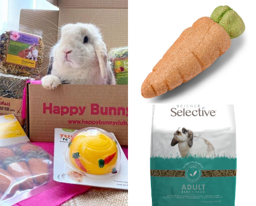 Bunny Bits cover photo collage