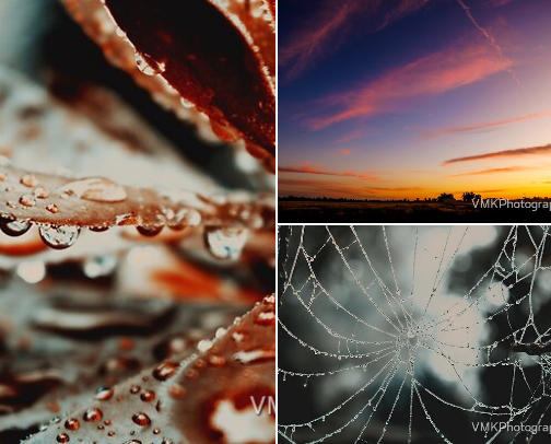 Photos I love that’ll look good on your wall cover photo collage