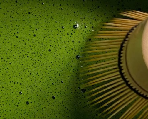 everything matcha lovers need cover photo collage