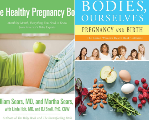 Fearfully and Wonderfully Made (Pregnancy Edition) cover photo collage