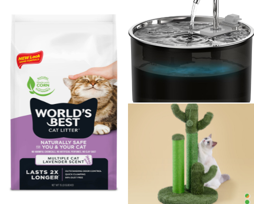 Crucial Cat Components cover photo collage