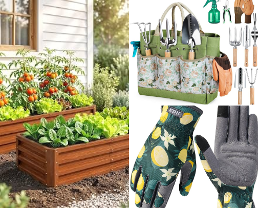 Want to start gardening? I got you covered ! 🌱 cover photo collage