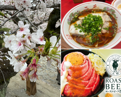 Japan Hidden Gems: Food Edition cover photo collage
