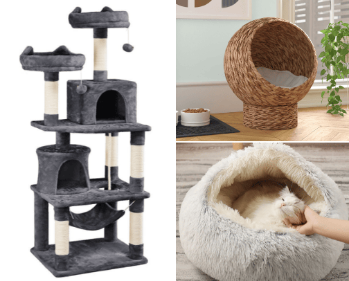Pet stuff🐶 cover photo collage