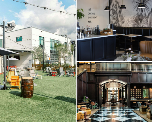 Things to do in Tampa! cover photo collage