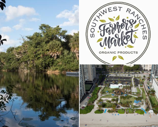 LOCAL RECOMMENDATIONS IN SOUTH FLORIDA cover photo collage
