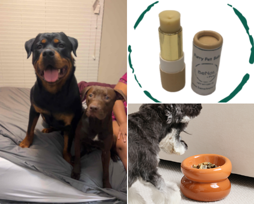 Great Finds For Your Fur Babies cover photo collage