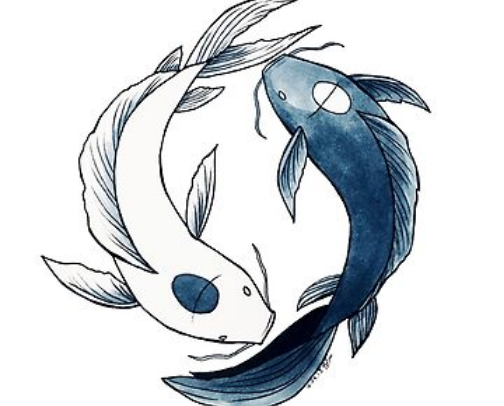 Cute, Minimalist, and Popular Fish Stickers for Fishing and Aquarium Lovers cover photo collage