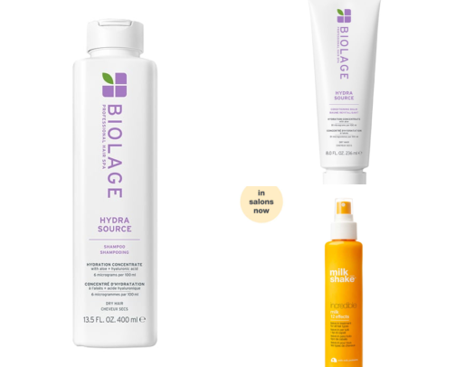 My holy grail hair products for fine hair ! cover photo collage
