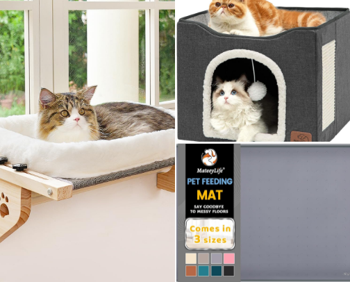 Everything I bought my Black Friday Cat cover photo collage