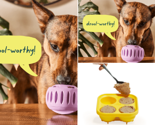 Dog Mom Must Haves cover photo collage
