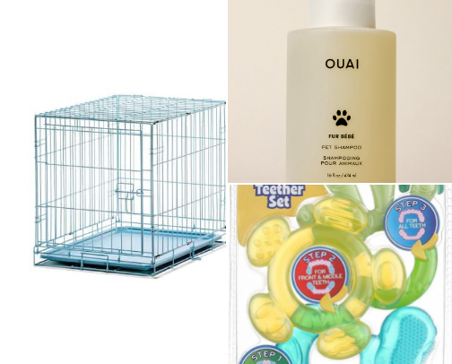 pet recs 🐾 cover photo collage
