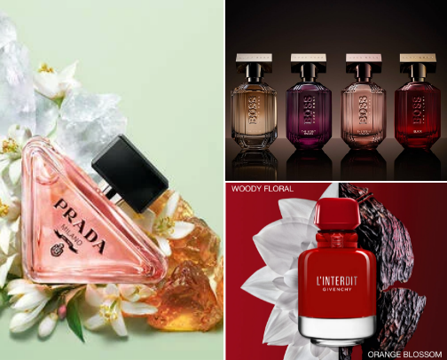 Scented Perfection: Top Perfumes You Need in Your Collection 🌸✨ cover photo collage