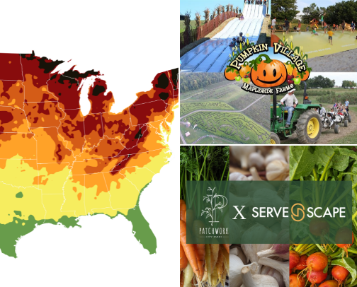 My Favorite Things To Do During Fall-Autumn cover photo collage