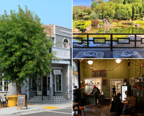 My Guide to West Sonoma County cover photo collage