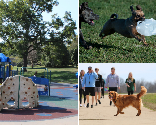 Kansas City favorites cover photo collage