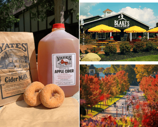 Fall into Michigan cover photo collage