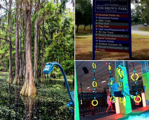 Fun Things To Do In Tallahassee, FL cover photo collage
