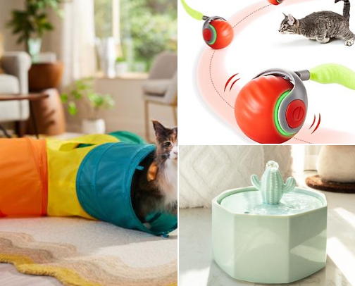 Kitten in the home - Kitty approved products for your cat home cover photo collage