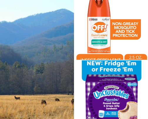 Exploring the Smoky Mountains cover photo collage