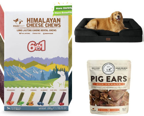 Gifts for your Dog this Holiday Season cover photo collage