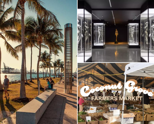 Things to do in Miami, Fl cover photo collage
