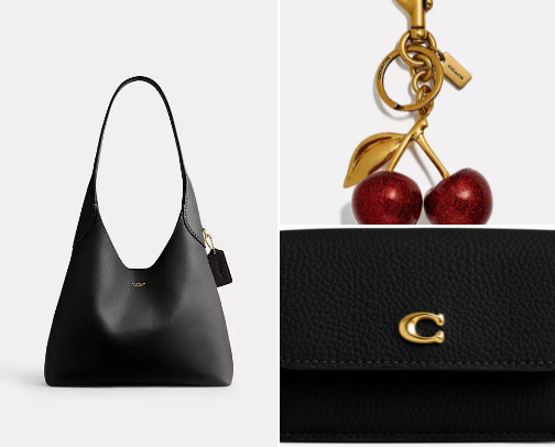 Bag essentials👜💄 cover photo collage
