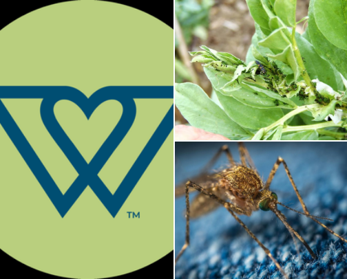All Natural Pest Control cover photo collage