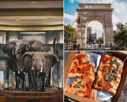 welcome to new york : places to visit, things to do and where to stay cover photo collage