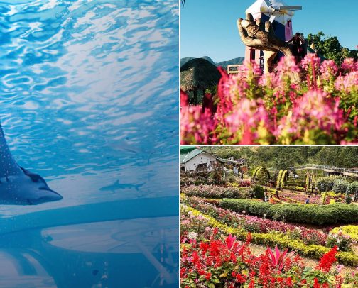 Cebu City Tours and South Cebu Tours cover photo collage