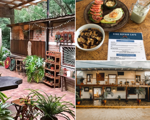 SJDS Expat Guide: Places to Go + Things to Do cover photo collage