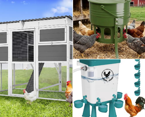 Chicken must haves cover photo collage