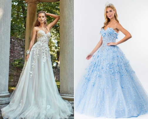 Princess Dresses Women cover photo collage