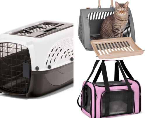 Pet Health Accessories I Wish I Had Before My First Vet Visit cover photo collage