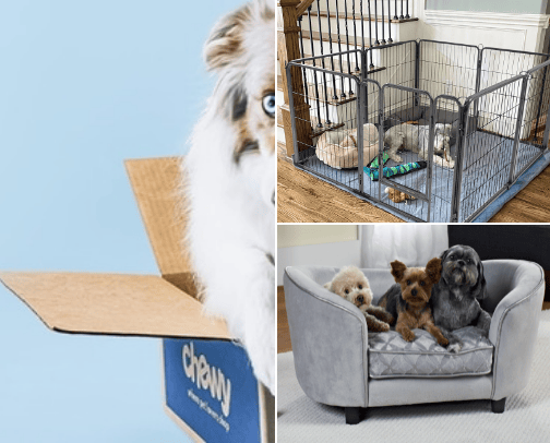 Puppy Stuff cover photo collage