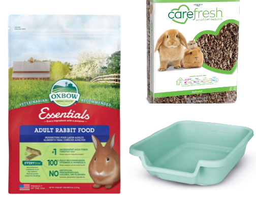 Bunny Living- Supplies & Essentials for your bunny's hoppy life cover photo collage