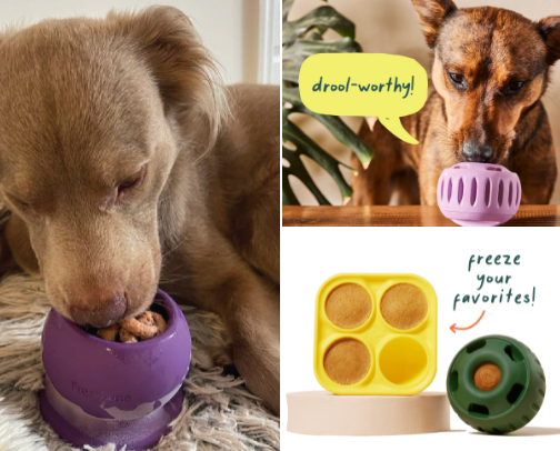 Dog enrichment that works cover photo collage