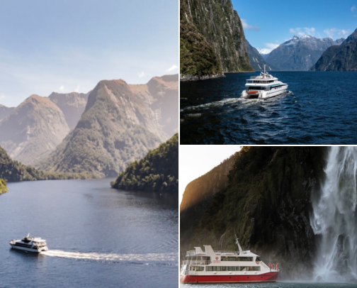 I Finally Took a Milford Sound Boat Cruise and Here's What to Pack cover photo collage