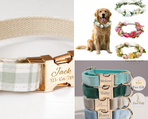 The Cutest Dog Accessories on My Wishlist cover photo collage